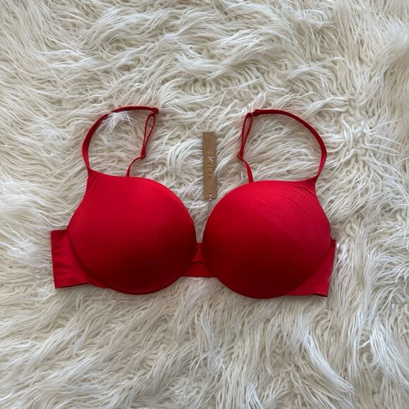 SKIMS Other - Skims Ultimate Collection Pushup Plunge Bra Cayenne Size 38C